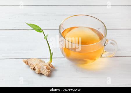 Coppa del preparato di fresco tè color ambra, il vapore caldo rende minuscole gocce umido sul vetro. A secco di radice di zenzero con il germoglio verde accanto ad essa. Foto Stock