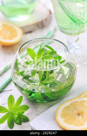 Limonata di legnose fatta in casa con limone (odoratum di Galium) Foto Stock