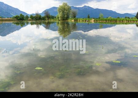 Stagno in Benediktbeuern Foto Stock