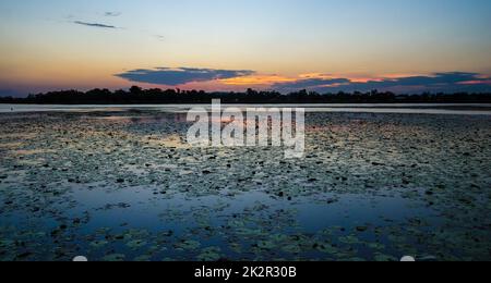 La superficie del lago Kununurra in Australia in serata Foto Stock