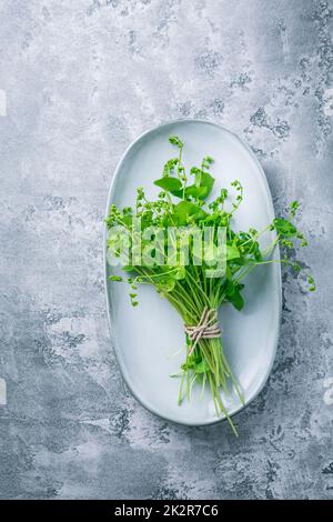 Purslane invernali, lattuga indiana, verdure verdi sane per insalate crude e cucina Foto Stock