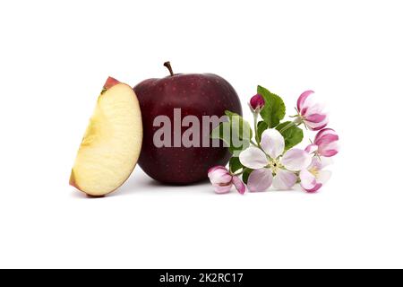 Mela rossa accanto a fette di mela e fiori di mela Foto Stock