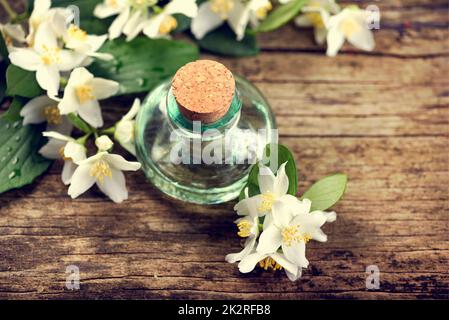 Olio di gelsomino Foto Stock
