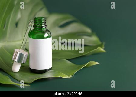 Flacone contagocce aperto sulla foglia di mostera in primo piano sul tavolo verde. Modello di imballaggio del marchio Foto Stock