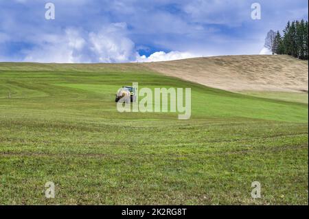 Stendendo concime liquido sul prato Foto Stock