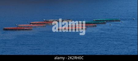 Allevamenti di pesci in mare aperto per l'allevamento di pesci e altri animali marini, vicino all'isola di Madeira nell'Oceano Atlantico Foto Stock