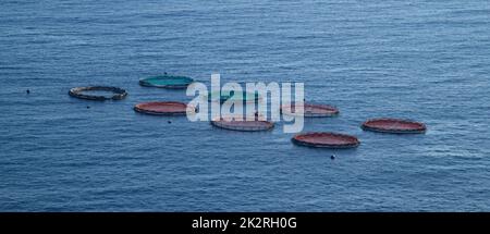 Allevamenti di pesci in mare aperto per l'allevamento di pesci e altri animali marini, vicino all'isola di Madeira nell'Oceano Atlantico Foto Stock