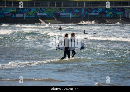 I giovani surfisti catturano le onde prima di lavorare il primo venerdì mattina alla spiaggia di Bondi Foto Stock