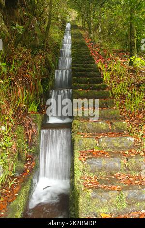 Cascata artificiale della Levada do furado a Ribeiro Frio sull'isola di Madeira Portogallo Foto Stock