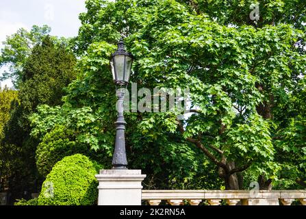 Vecchia lampada di strada vintage moda sullo sfondo di foglie di edera verde Foto Stock