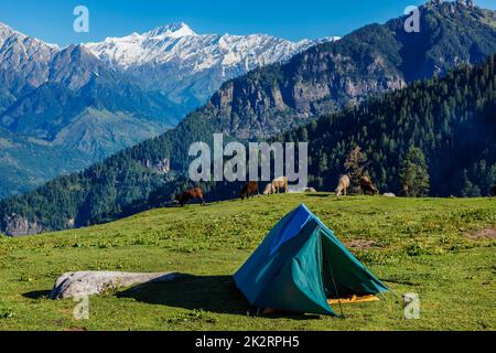Campeggio in montagna. Kullu Valley, Himachal Pradesh, India Foto Stock