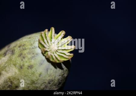 Carta di alluminio colorato astratto primo piano sfondo scattando moderne stampe di alta qualità grande formato Foto Stock