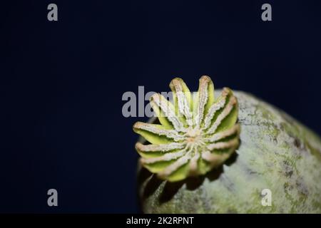 Carta di alluminio colorato astratto primo piano sfondo scattando moderne stampe di alta qualità grande formato Foto Stock