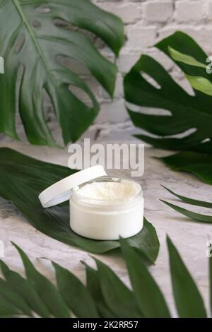 Vaso bianco e foglie di mostera su tavola di marmo da vicino. Modello di imballaggio del marchio Foto Stock