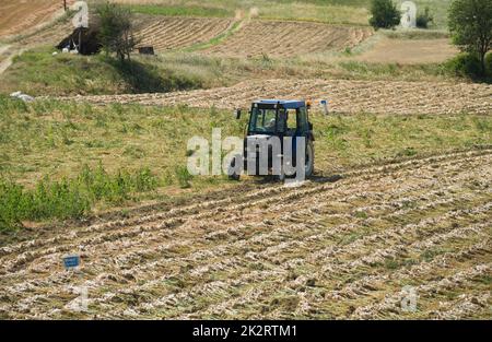 Taskopru, Kastamonu, Turchia, 16 luglio 2021; Operai che lavorano nel campo durante la raccolta dell'aglio. Foto Stock