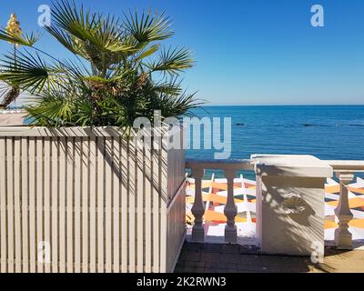 Alberi di palma sul terrapieno sullo sfondo del mare in una pentola di legno bianco per la decorazione, relax sul mare, mare tropicale sfondo bello Foto Stock