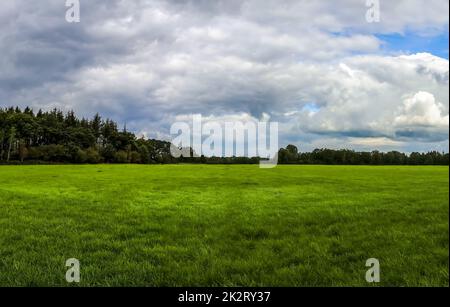 Bellissimo panorama ad alta risoluzione di un paesaggio di campagna del nord europa con campi e erba verde Foto Stock