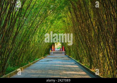 Wangjiang Pavilion nel parco Wangjianglou. Chengdu Sichuan, Cina Foto Stock