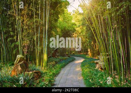 Wangjiang Pavilion nel parco Wangjianglou. Chengdu Sichuan, Cina Foto Stock