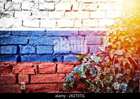 Bandiera grunge della Federazione Russa sul muro di mattoni con vista della foschia di sole della pianta di edera Foto Stock