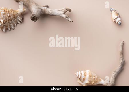 Mockup con rami secchi e conchiglia su sfondo beige Foto Stock