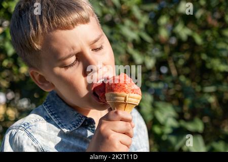 Biondo ragazzo che mangia gelato alla fragola nel parco nella calda e soleggiata giornata estiva. Foto Stock