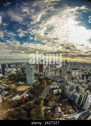 Skyline di Tokyo visto dall'Osservatorio della Torre di Tokyo Foto Stock