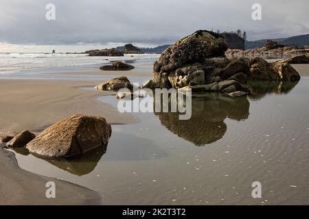 WA22045-00...WASHINGTON - bassa marea a Ruby Beach sulla costa del Pacifico nel Parco Nazionale Olimpico. Foto Stock