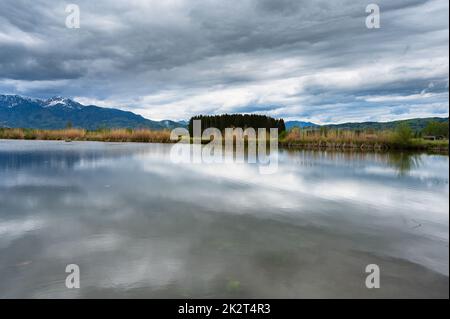 Stagno in Benediktbeuern Foto Stock