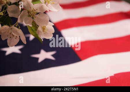 Fiori di mela e la bandiera degli Stati Uniti. Il concetto di giorno dell'Indipendenza, giorno della memoria, elezioni. Foto Stock