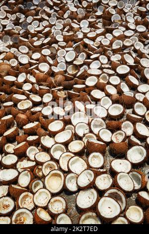 Noci di cocco che asciugano, Kerala, India del Sud Foto Stock