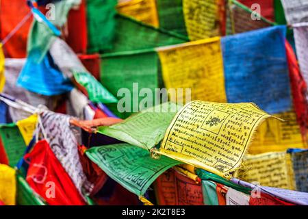 La preghiera buddista bandiere lungta con preghiere, Ladakh Foto Stock