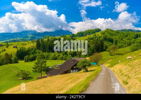 Strada nel villaggio Grabs in Werdenberg in St. Gallen, Svizzera Foto Stock