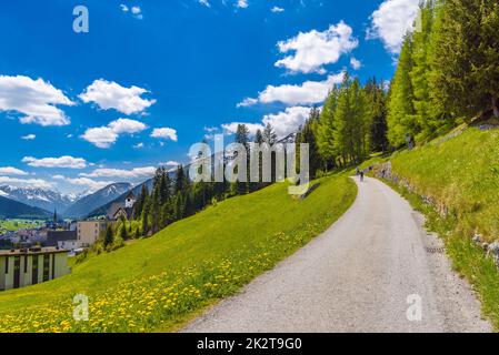 Strada nel campo verde delle montagne delle Alpi, Davos, Graubuenden, Swit Foto Stock