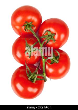 Ramo di pomodori freschi con goccioline di acqua isolato Foto Stock