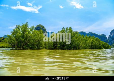 Ko Thalu OK, Krasom, Takua Thung, Parco Nazionale Ao Phang-nga, Th Foto Stock