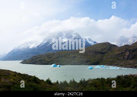Iceberg sul lago grigio, Cile, Torres del Paine Foto Stock