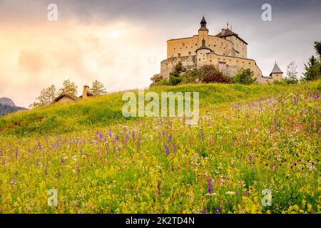 Tarasp con fiori selvatici colorati e prati in primavera, Engadina, Alpi svizzere Foto Stock