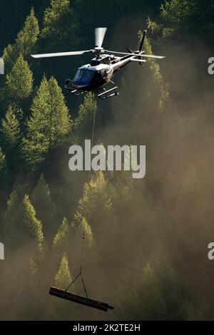 Elicottero che porta alberi fuori dalla foresta nelle alpi francesi al mattino presto Foto Stock