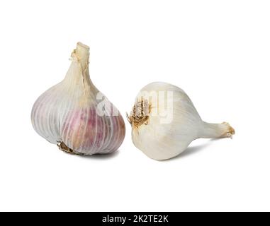 Testa di aglio fresco bianco isolato su sfondo bianco, spezia sana Foto Stock