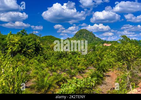 Emerald Pool, Yosemite National Park, Krabi, Thailandia, plantatio Foto Stock