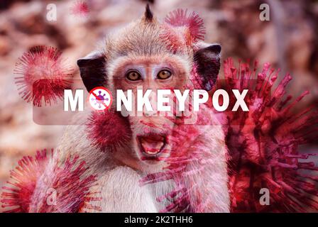 Concetto di epidemia di Monkeypox. Monkeypox è causato dal virus monkeypox. Monkeypox è una malattia zoonotica virale. Virus trasmesso agli esseri umani da animali. Le scimmie possono ospitare il virus e infettare le persone. Foto Stock