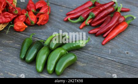 Pepers freschi all'aperto al mercato contadino rurale, Jalapeno, Cayenne e Bhut Jolokia Foto Stock