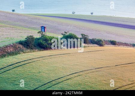 Moravian paesaggio di rotolamento con la torre della caccia shack Foto Stock