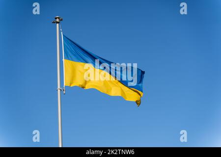 Bandiera Ucraina blu-gialla vola sullo sfondo del cielo azzurro Foto Stock