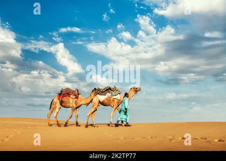 Cameleer camel driver con i cammelli nel Rajasthan, India Foto Stock