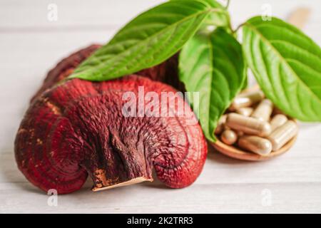 Lingzhi o Reishi funghi con capsule, alimenti biologici naturali sani. Foto Stock