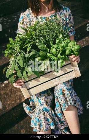 Anonimo donna con erbe raccolte in scatola sulle scale Foto Stock