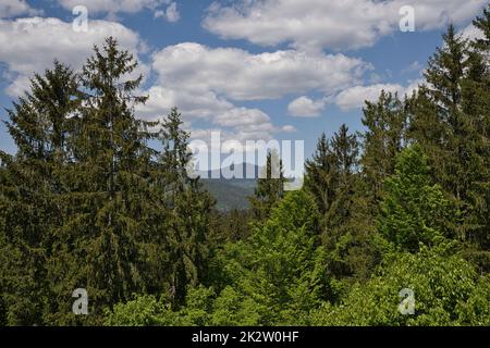 Vista la grande Arber nella Foresta Bavarese Foto Stock