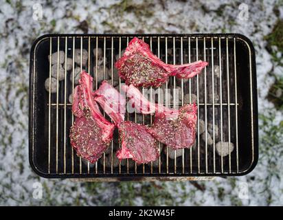 Griglia di capriolo o cervo con rosmarino e sale. Barbecue all'aperto. Foto Stock